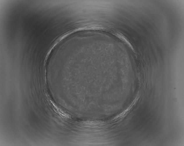 X0000081570781200702121421