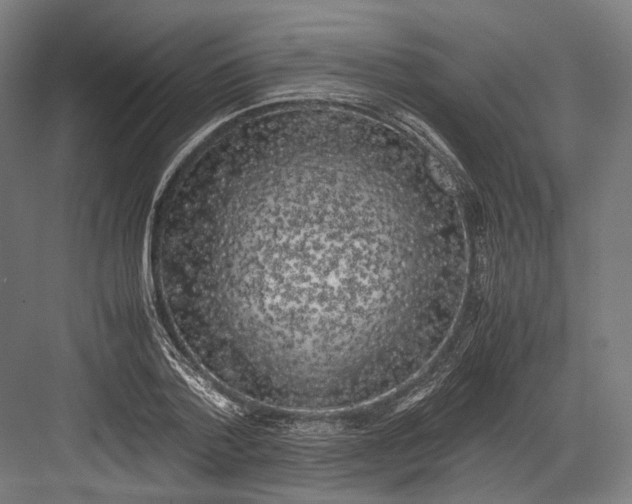 X0000081570788200702121420