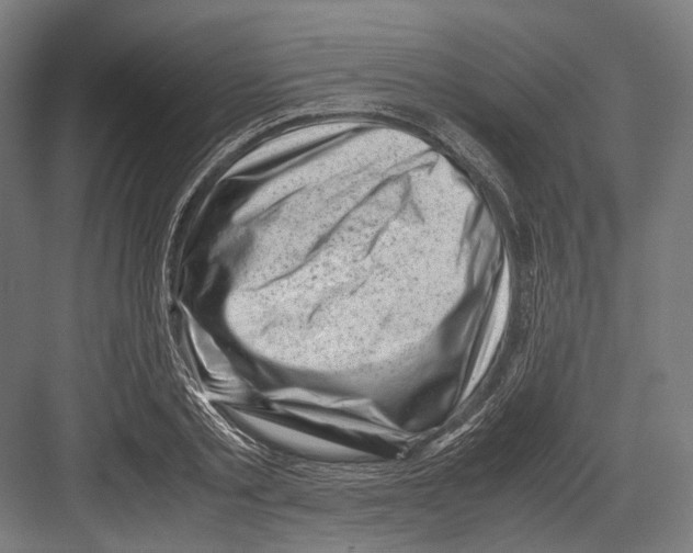 X0000081570789200702121420