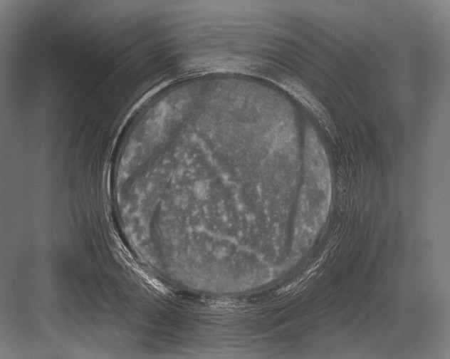 X0000081570790200702121420