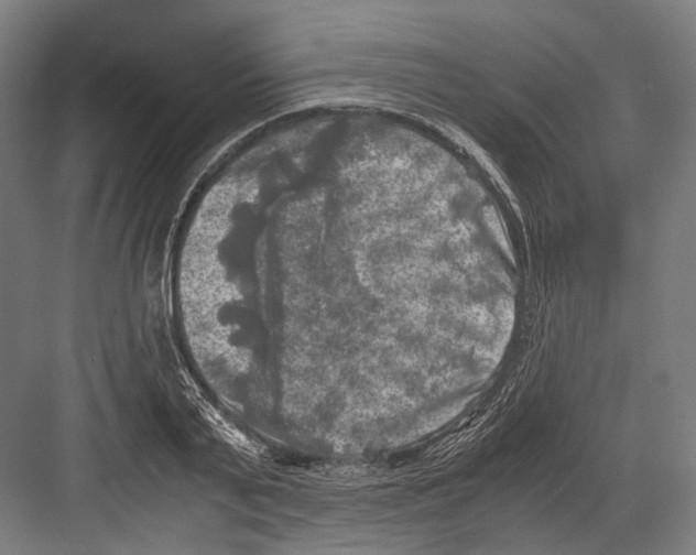 X0000081570791200702121420