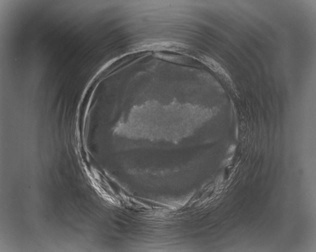 X0000081570792200702121420