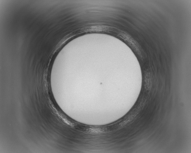 X0000081570794200702121420