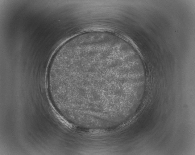 X0000081570795200702121420