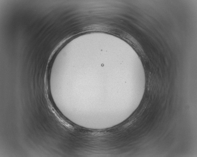 X0000081570796200702121420