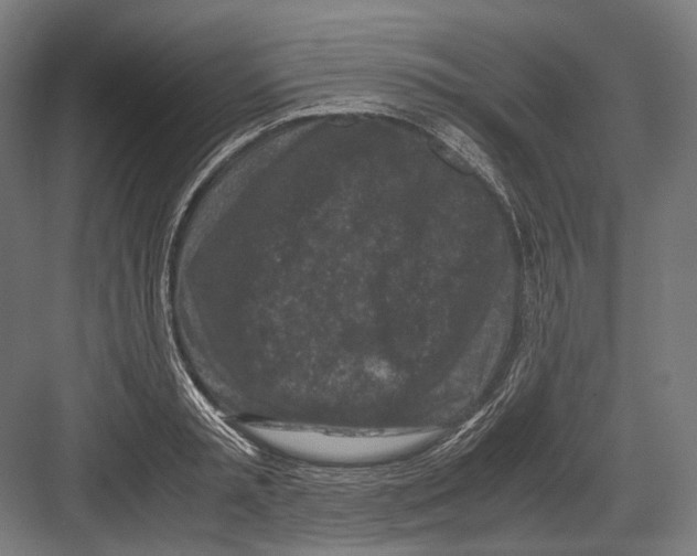 X0000081570797200702121420