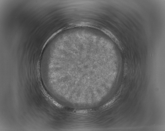 X0000081570798200702121420