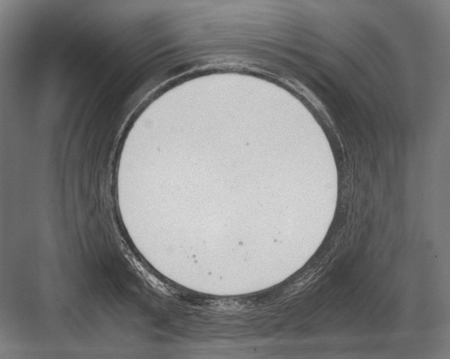 X0000081570799200702121420