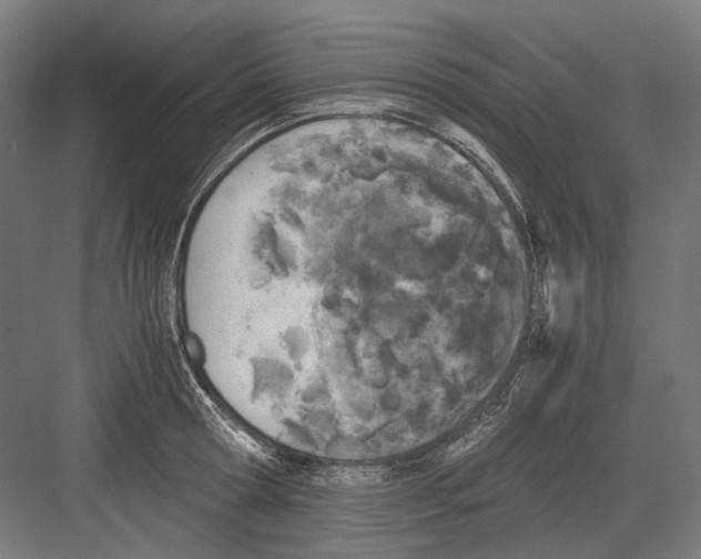 X0000081570802200702121420