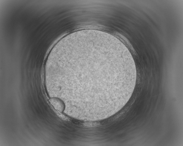 X0000081570804200702121420