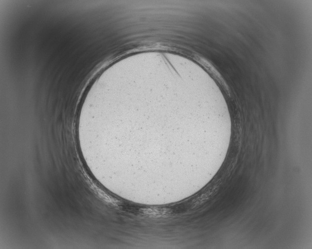 X0000081570805200702121420