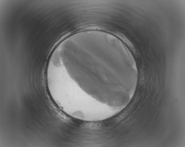 X0000081570806200702121420