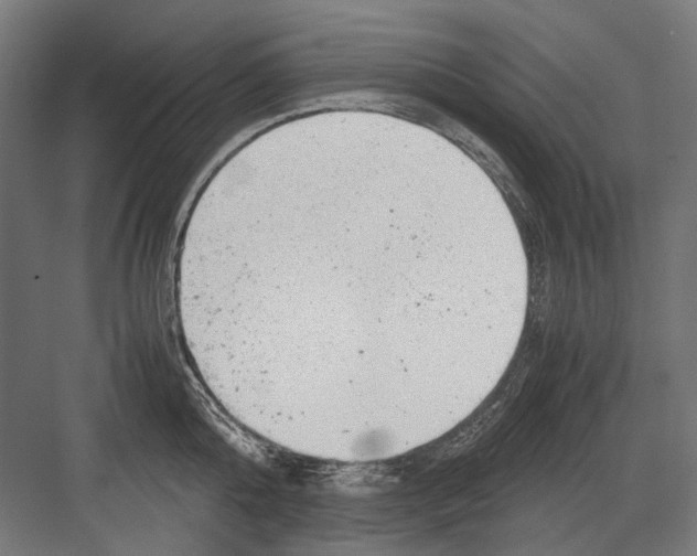 X0000081570808200702121420