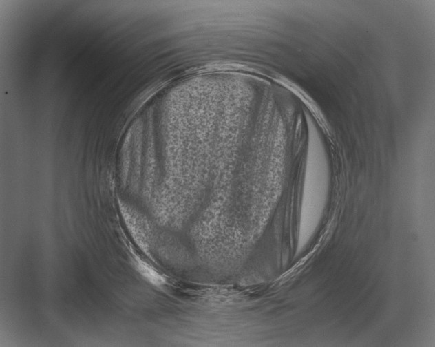 X0000081570809200702121420