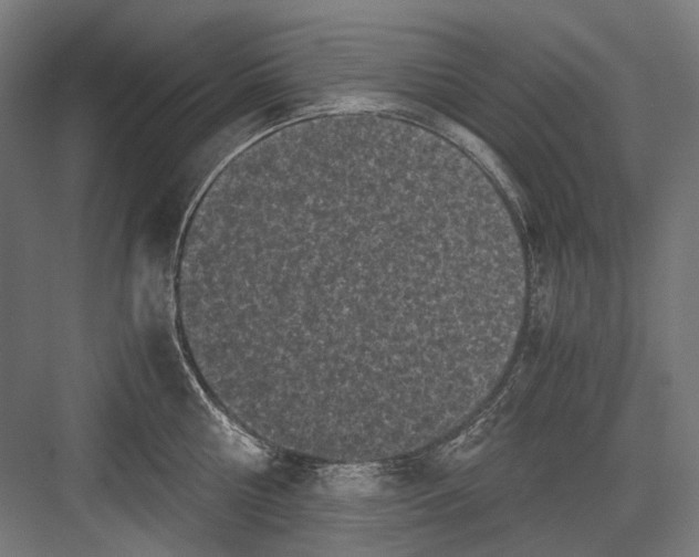 X0000081570810200702121420