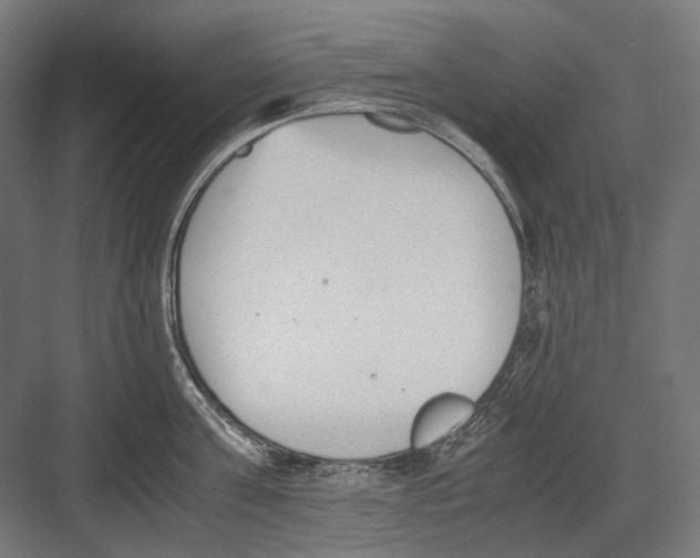 X0000081570811200702121420