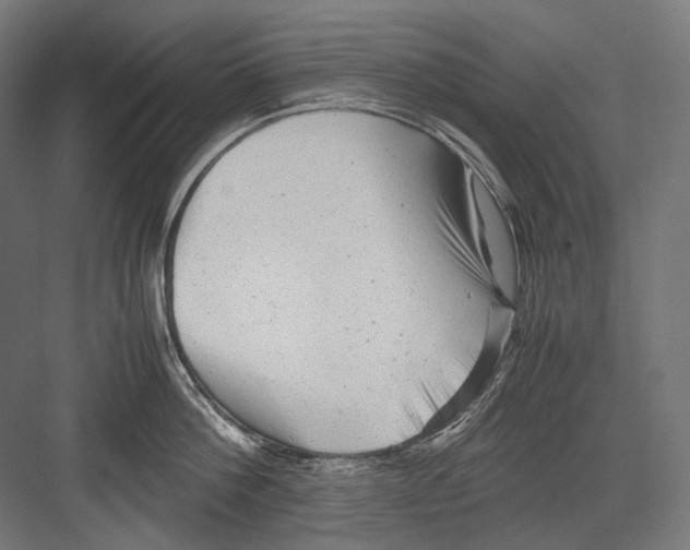 X0000081570812200702121420