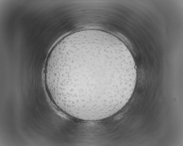 X0000081570814200702121420