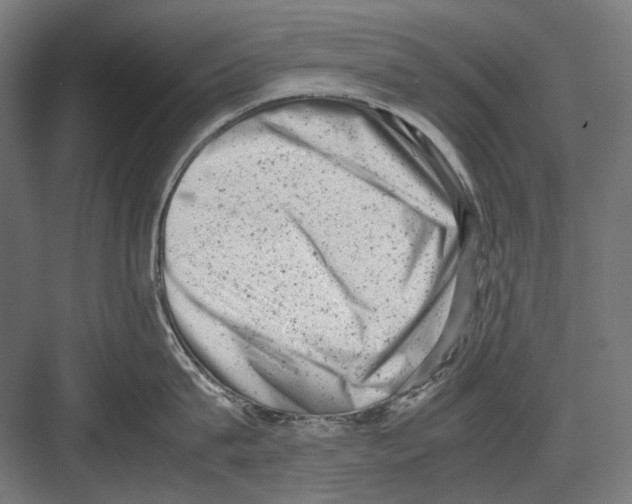 X0000081570815200702121420