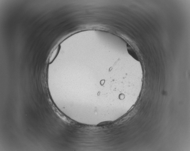 X0000081570816200702121420