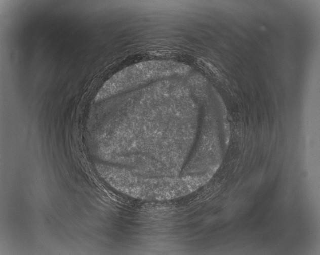 X0000081570817200702121419