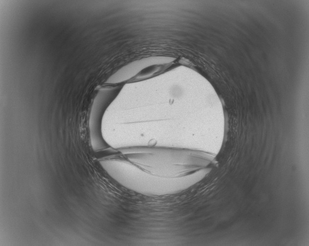 X0000081570818200702121419