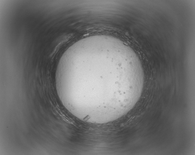 X0000081570820200702121419