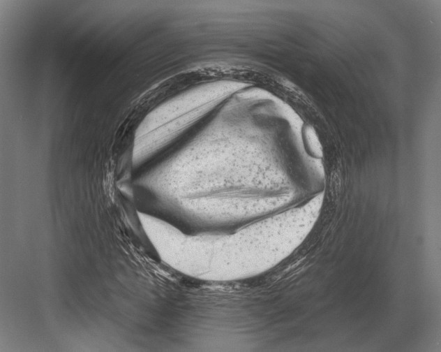 X0000081570822200702121419