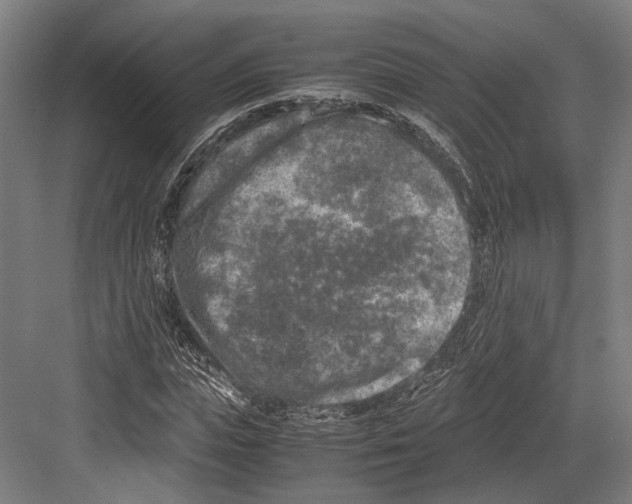 X0000081570823200702121419