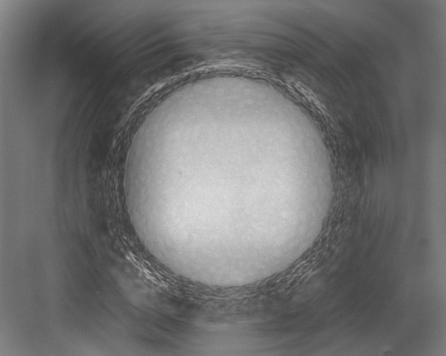 X0000081570824200702121419