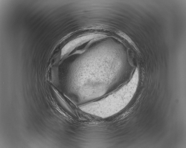 X0000081570826200702121419