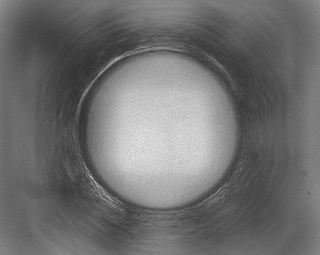 X0000081570828200702121419