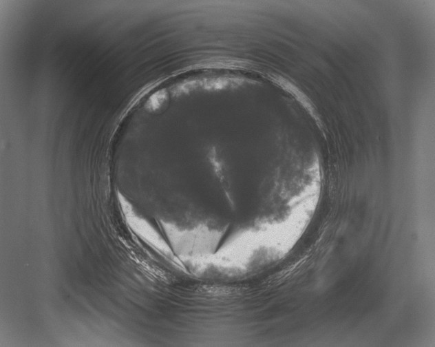 X0000081570829200702121419