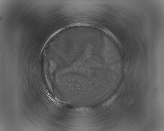 X0000081570830200702121419