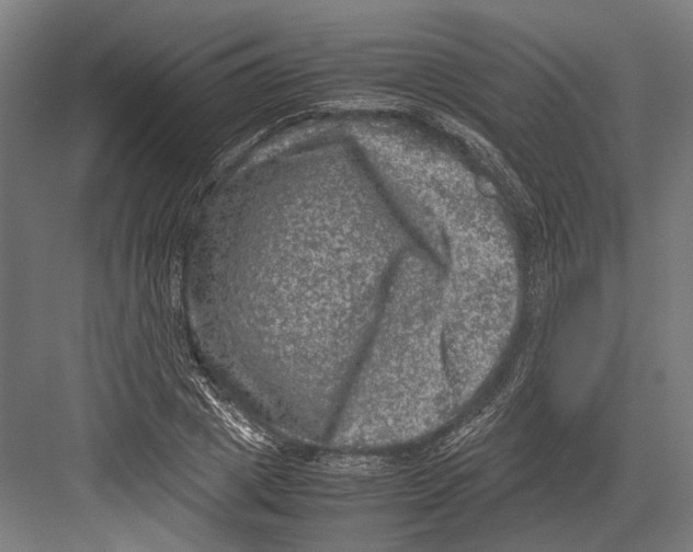 X0000081570833200702121419