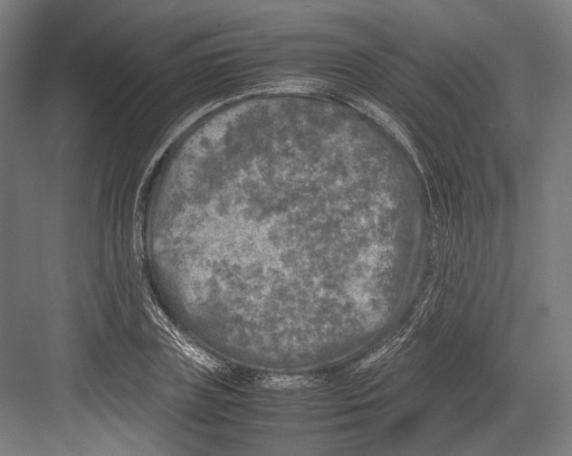 X0000081570835200702121419