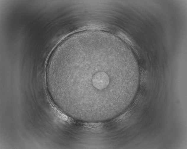 X0000081570836200702121419