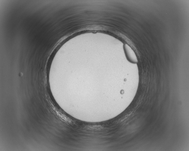 X0000081570837200702121419