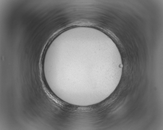 X0000081570840200702121419