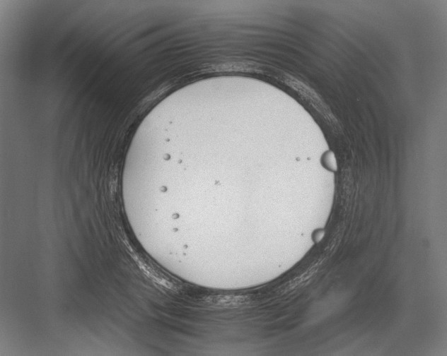 X0000081570841200702121420