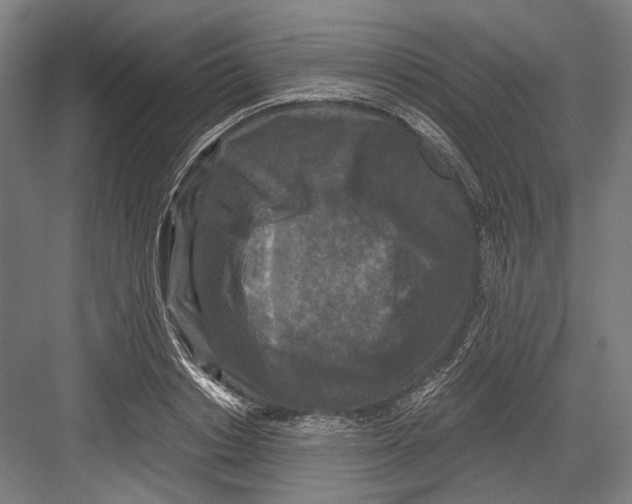 X0000081570842200702121420