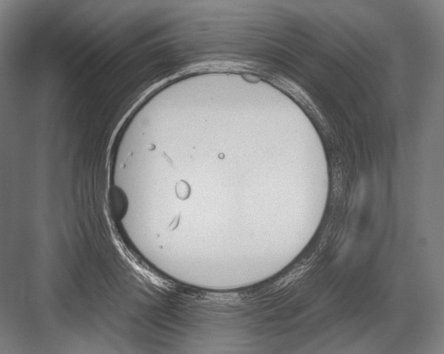 X0000081570844200702121420