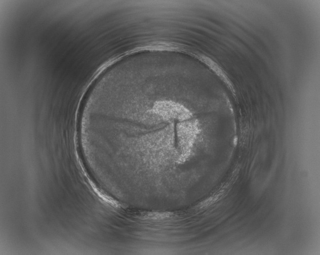 X0000081570845200702121420