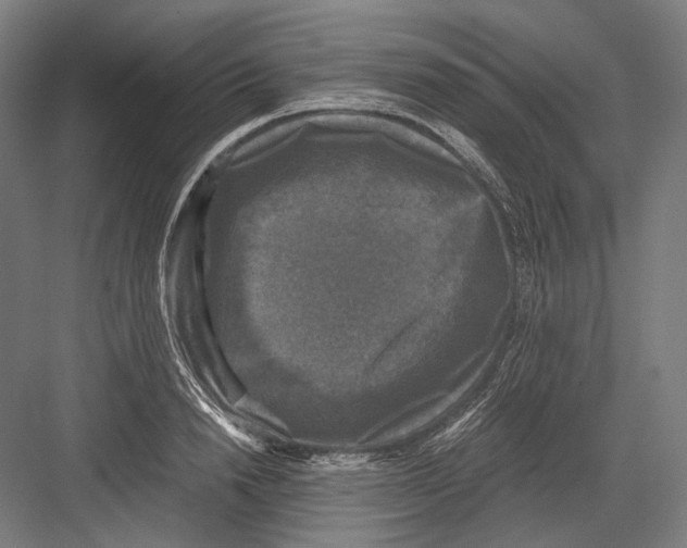 X0000081570846200702121420