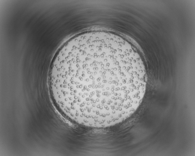 X0000081570847200702121420