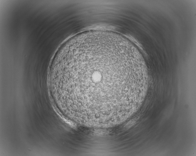 X0000081570848200702121420