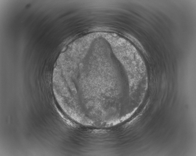 X0000081570849200702121420