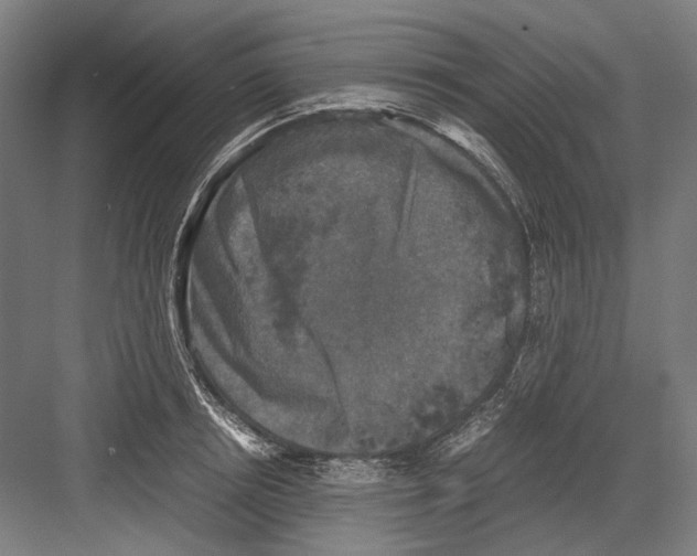 X0000081570850200702121420