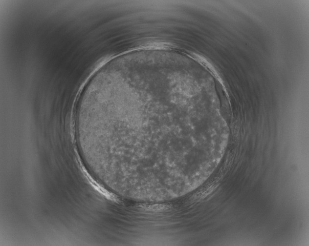 X0000081570851200702121420