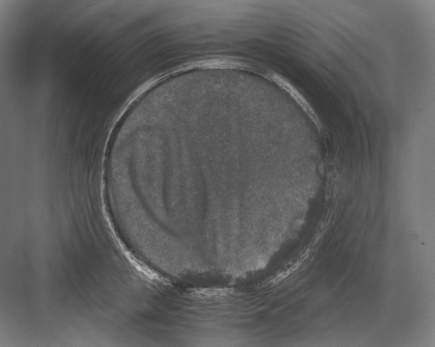 X0000081570853200702121420